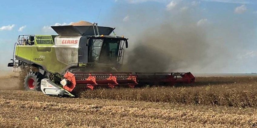 Глобальний та український ринок гороху